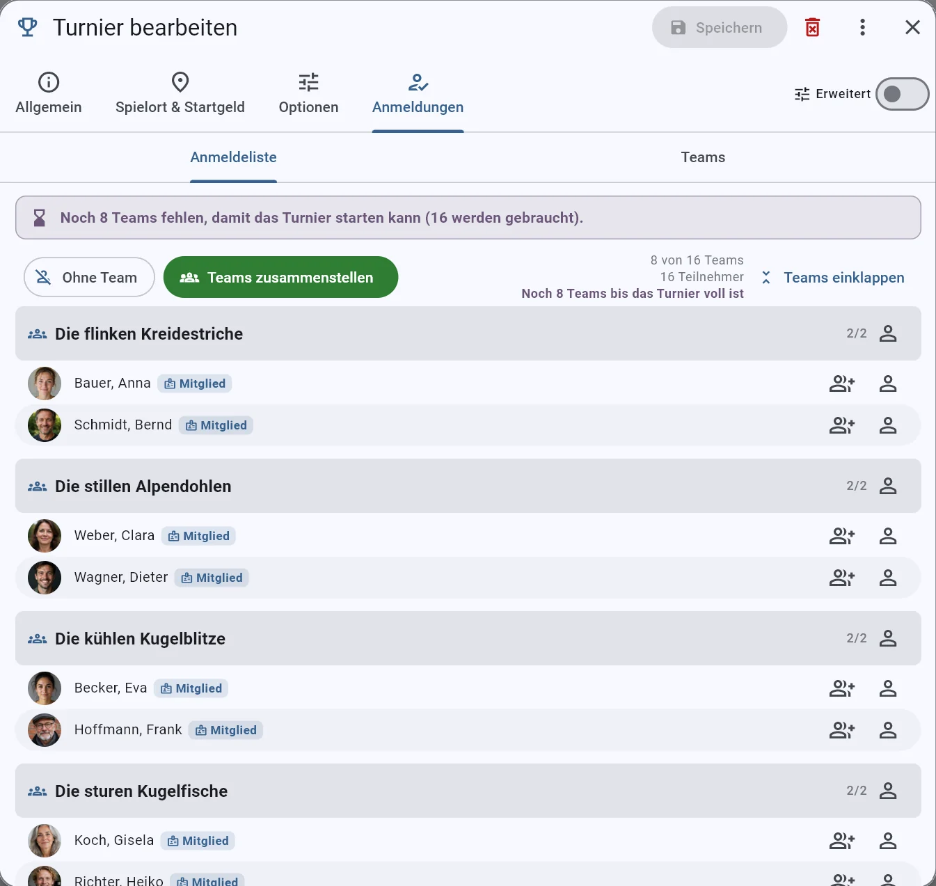 Echter Boule-Boy Screenshot: Turnieroptionen · 4